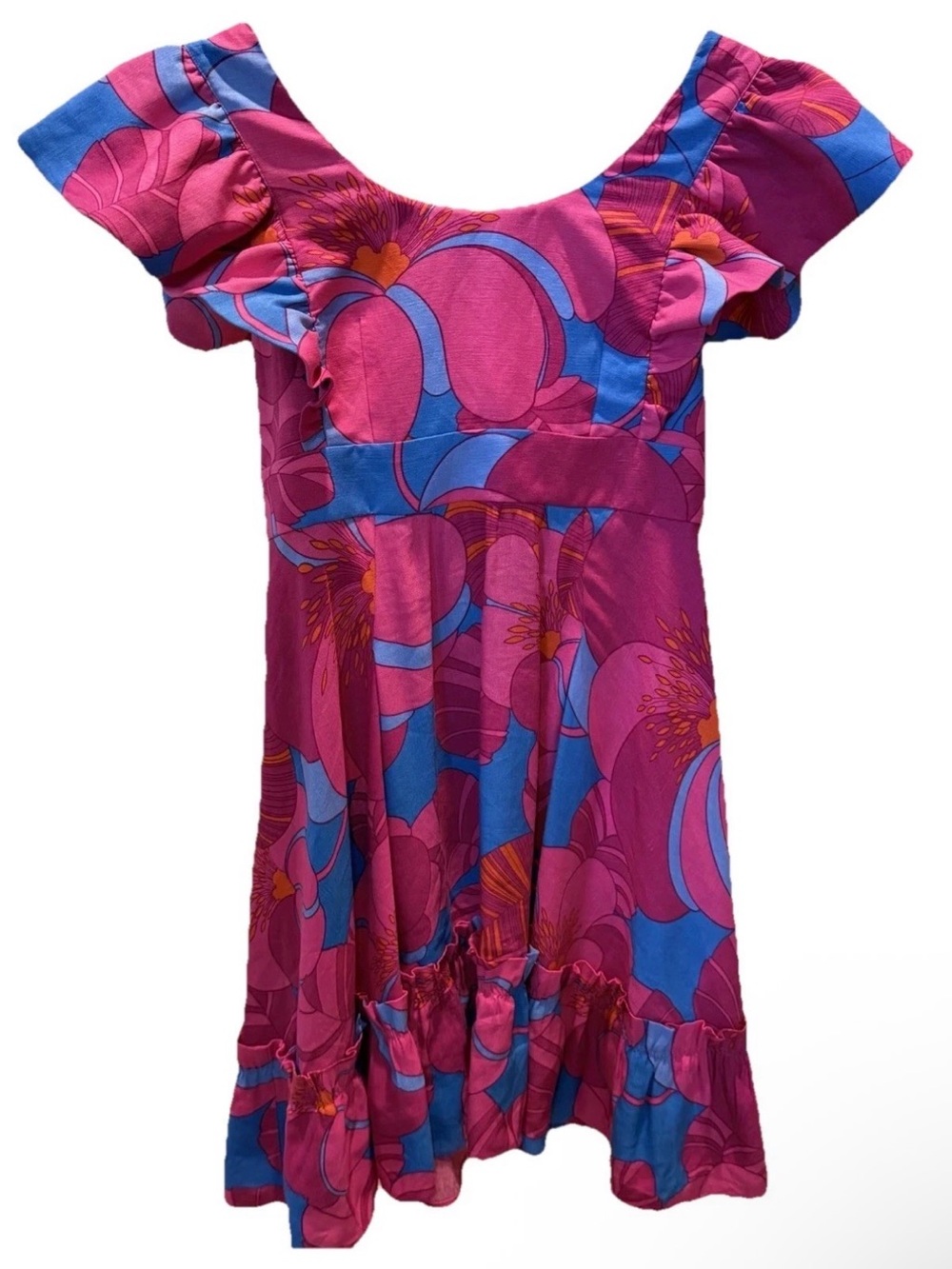 Tuckernuck Vibrant Pink & Blue Floral & Flare Flutter Sleeve Dress sz Small NWT